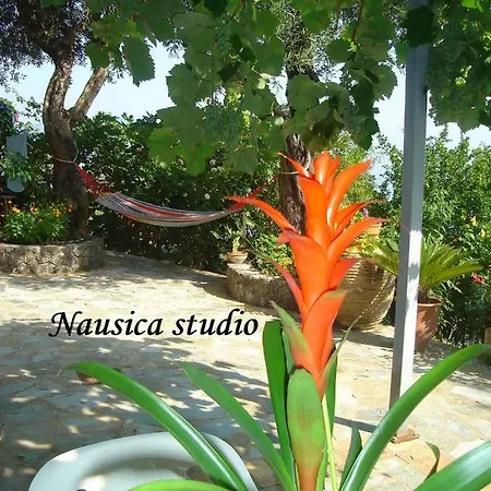 Nausica... A Sense Of Paradise! Agia Pelagia Chlomou