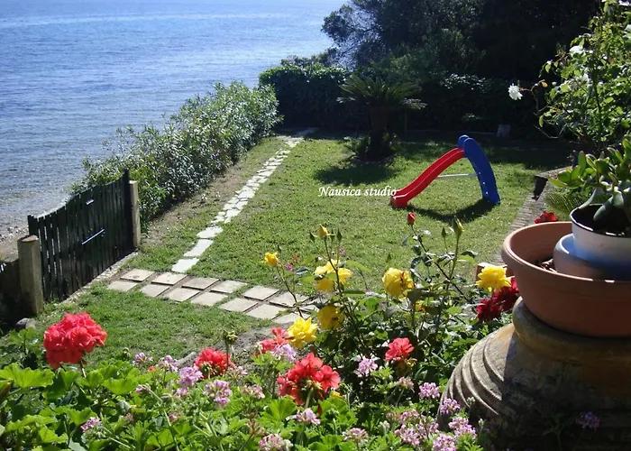 Nausica... A Sense Of Paradise!